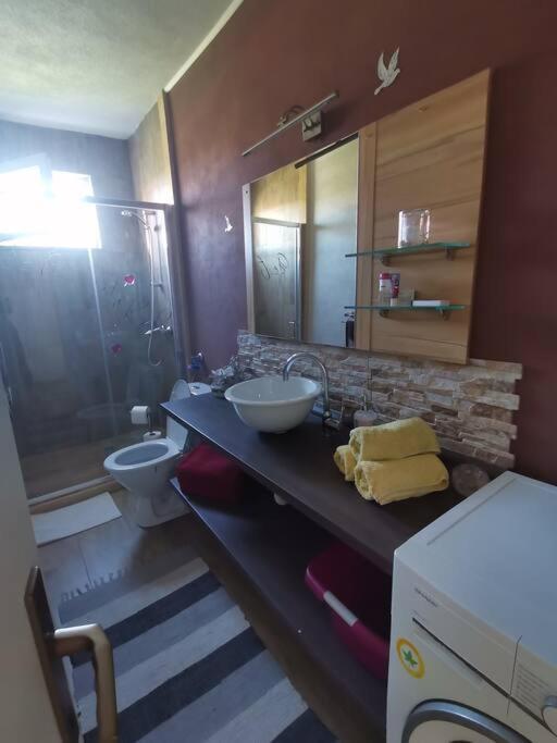 Apartment Zara Funtana Esterno foto